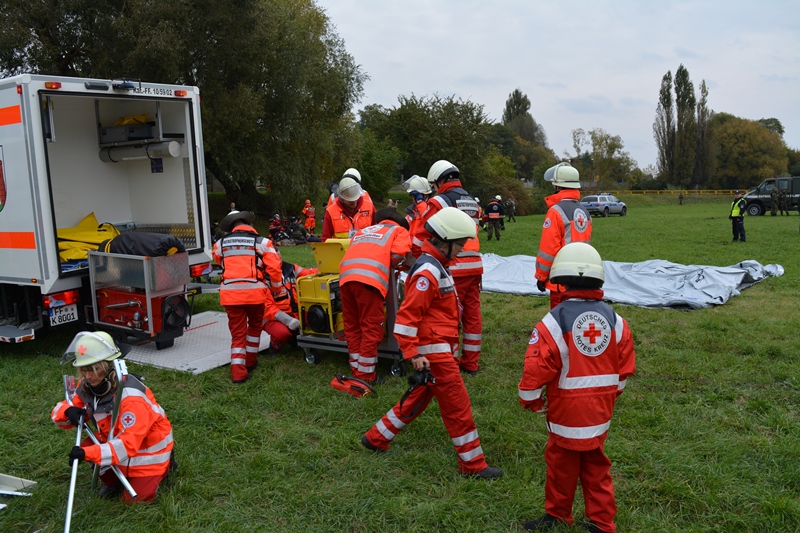 Ilustracja do informacji: VIII edycja Medline za nami