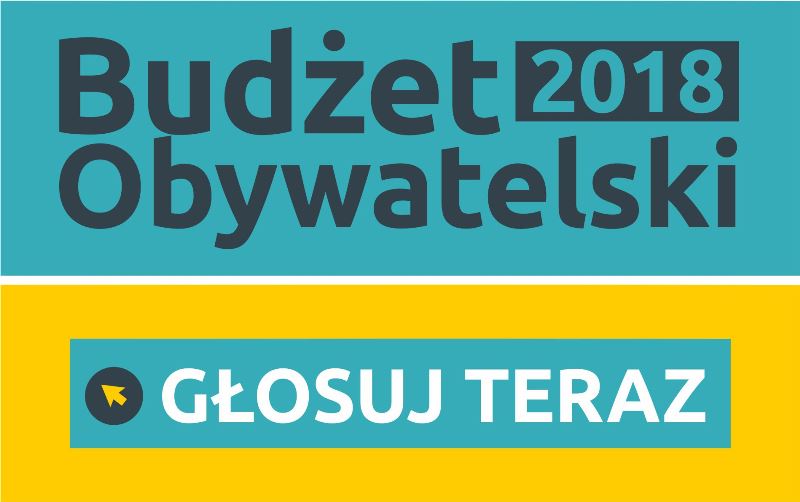Ilustracja do informacji: Ankieta - Budżet Obywatelski 2018