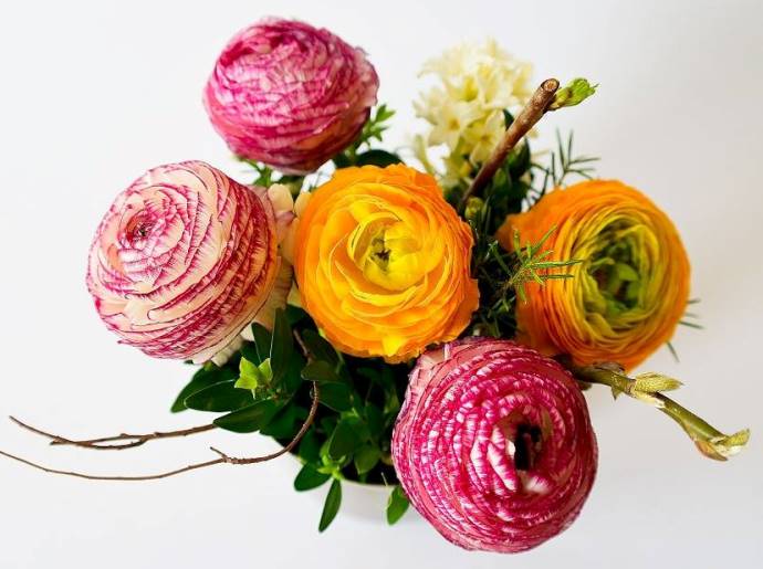 Ilustracja do informacji: Życzenia z okazji Dnia Matki