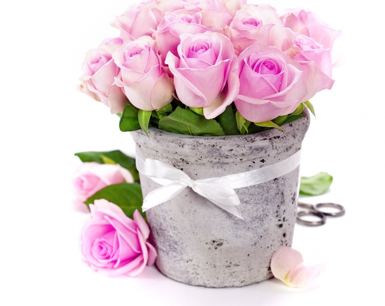 Ilustracja do informacji: Życzenia z okazji Dnia Pracownika Socjalnego