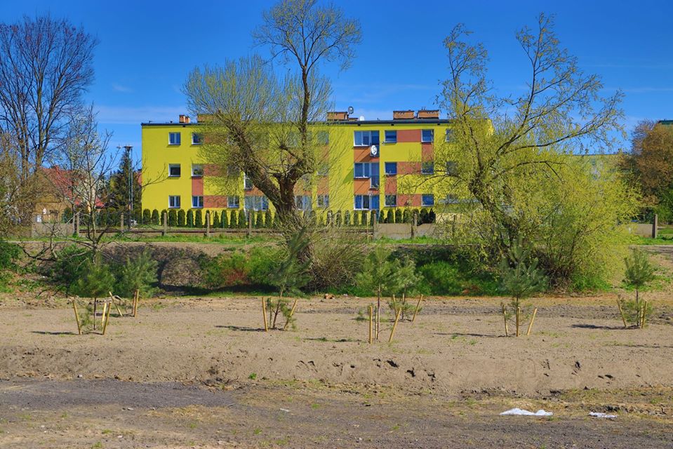 Ilustracja do informacji: Miasto zamienia się w wielki park