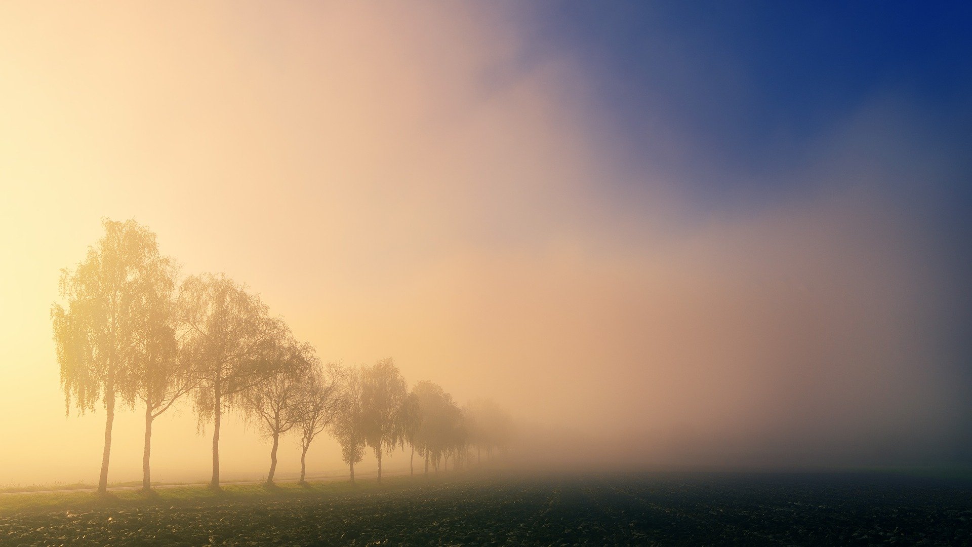 Ilustracja do informacji: Ostrzeżenie przed gęstą mgłą 