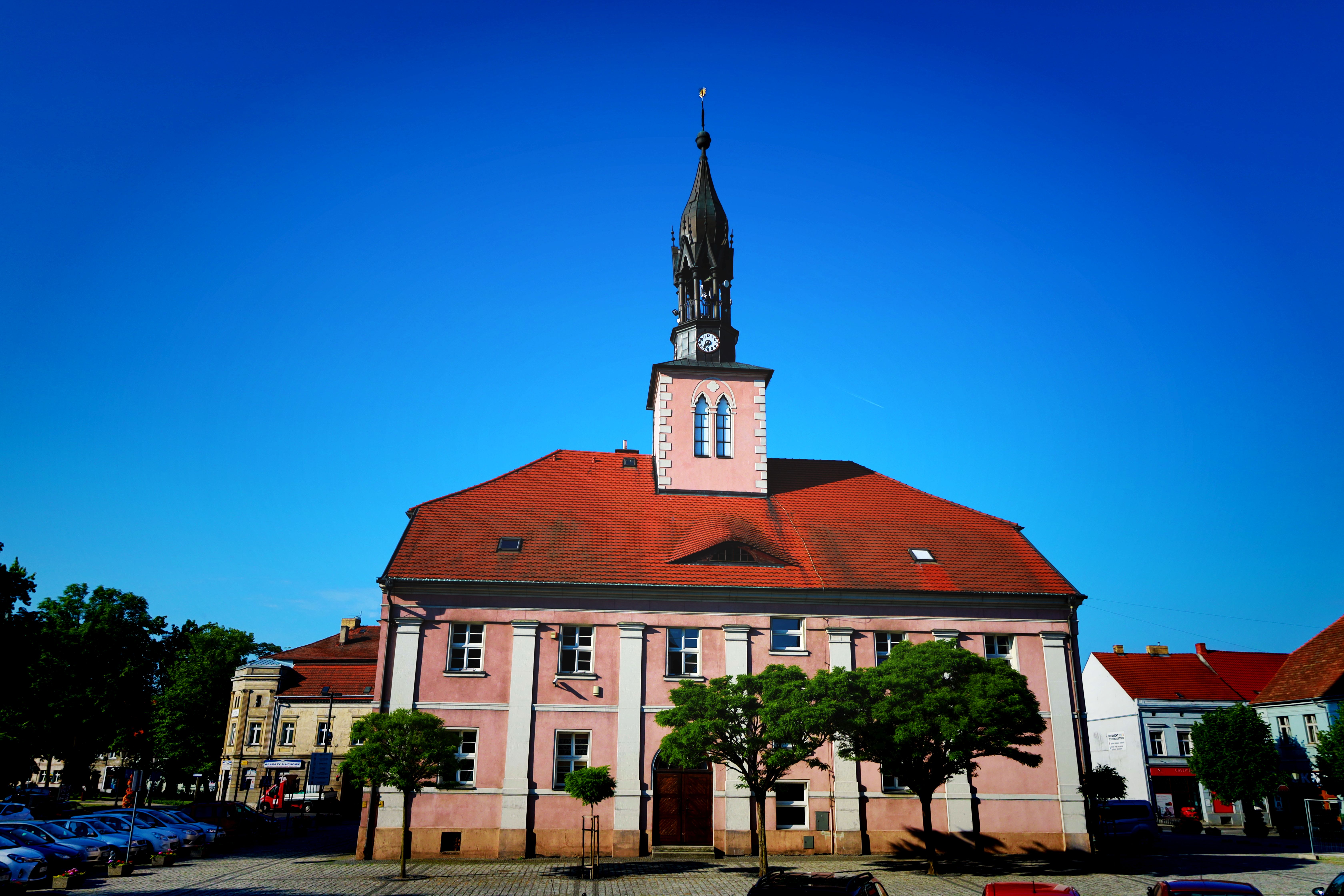 Ilustracja do informacji: Nieznany sprawca „zaopiekował się” klatką do wyłapywania bezdomnych zwierzaków