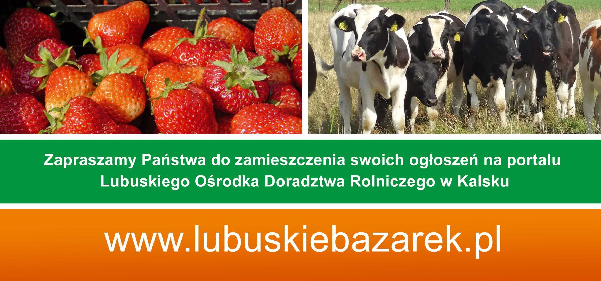 Ilustracja do informacji: Lubuski Bazarek Zaprasza 