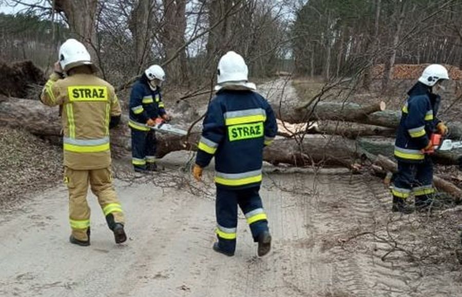 Ilustracja do informacji: Burmistrz dziękuje strażakom