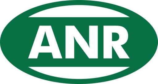 Ilustracja do informacji: "Stypendia pomostowe" dla studentów I roku studiów wyższych