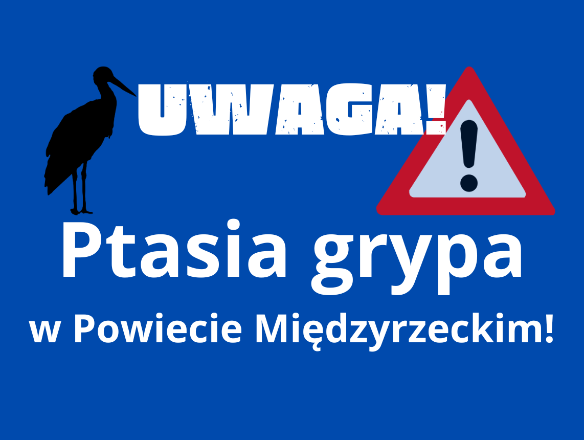 Ilustracja do informacji: Ptasia Grypa w Powiecie Międzyrzeckim!
