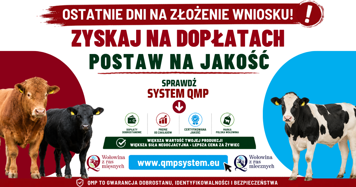 Ilustracja do informacji: Ekoschemat „Dobrostan zwierząt”