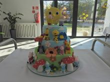 Miniatura zdjęcia: Fotka 25