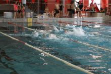 Miniatura zdjęcia: Fotka 10