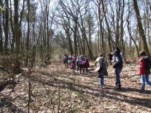 Miniatura zdjęcia: Szlakiem Czterech Wież po Bad Freienwalde