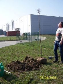 Miniatura zdjęcia: Fotka 1