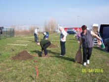 Miniatura zdjęcia: Fotka 2