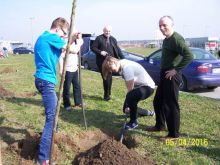 Miniatura zdjęcia: Fotka 6