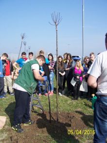 Miniatura zdjęcia: Fotka 15