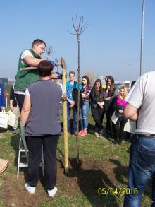 Miniatura zdjęcia: Fotka 16