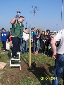 Miniatura zdjęcia: Fotka 17