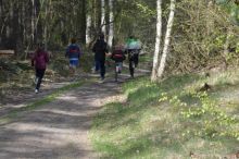 Miniatura zdjęcia: Projekt edukacyjny ,,Moja przygoda z kompasem w lesie”