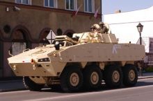 Miniatura zdjęcia: Fotka 2