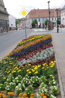 Miniatura zdjęcia: Nasadzenia