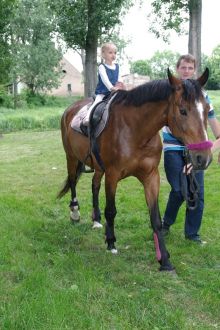 Miniatura zdjęcia: Fotka 37