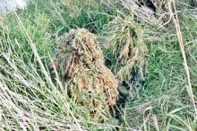 Miniatura zdjęcia: Udział Lubuskiej Kompanii Obrony Terytorialnej w ćwiczeniu „Anakonda-16”