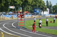 Miniatura zdjęcia: Fotka 9