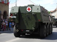 Miniatura zdjęcia: Fotka 75