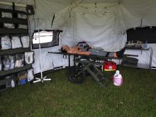 Miniatura zdjęcia: Fotka 102