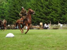 Miniatura zdjęcia: Fotka 128