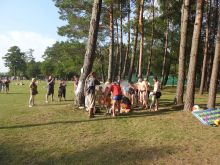 Miniatura zdjęcia: Fotka 1