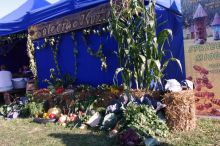 Miniatura zdjęcia: Święto Plonów w Bukowcu