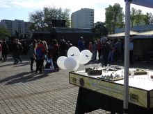 Miniatura zdjęcia: Fotka 14