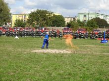 Miniatura zdjęcia: Fotka 30