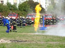 Miniatura zdjęcia: Fotka 33