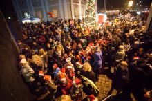 Miniatura zdjęcia: Fotka 17