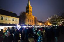 Miniatura zdjęcia: Fotka 19