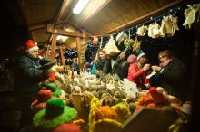 Miniatura zdjęcia: Fotka 27