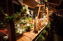 Miniatura zdjęcia: Fotka 49