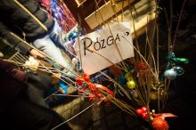 Miniatura zdjęcia: Fotka 50