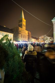 Miniatura zdjęcia: Fotka 67