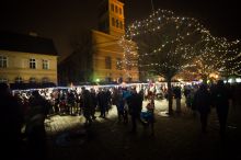 Miniatura zdjęcia: Fotka 68