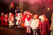 Miniatura zdjęcia: Fotka 87