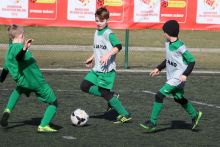 Miniatura zdjęcia: Towarzyski sprawdzian Akademii Młodych Orłów