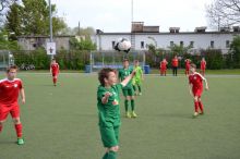 Miniatura zdjęcia: Towarzyski turniej Akademii Młodych Orłów