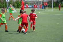 Miniatura zdjęcia: Towarzyski turniej Akademii Młodych Orłów