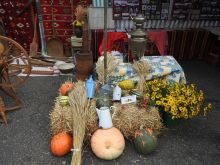 Miniatura zdjęcia: Gminne Święto Plonów w Kęszycy Leśnej