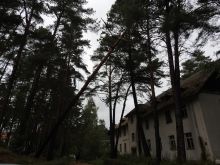 Miniatura zdjęcia: Gmina Międzyrzecz po przejściu orkanu Ksawery