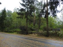 Miniatura zdjęcia: Gmina Międzyrzecz po przejściu orkanu Ksawery