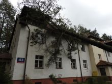 Miniatura zdjęcia: Gmina Międzyrzecz po przejściu orkanu Ksawery